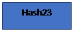 Text Box: Hash23